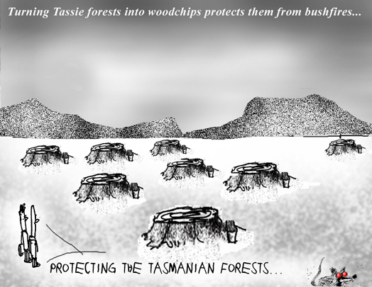 tassie forests